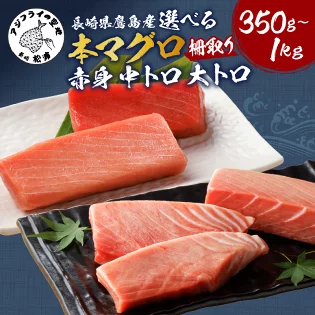 【長崎県松浦市】本マグロ柵取り合計350g 中トロ赤身